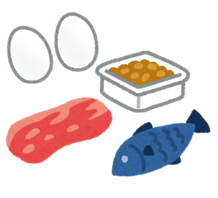 肉・魚・卵・納豆のイラスト